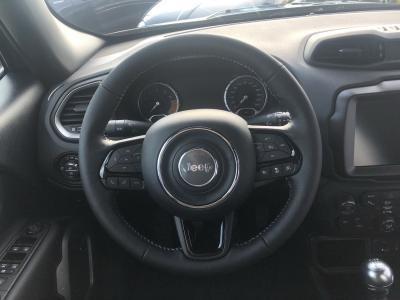 Jeep Renegade 80TH Edition 1,0 120PS